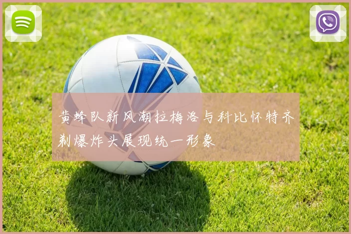 黄蜂队新风潮拉梅洛与科比怀特齐剃爆炸头展现统一形象